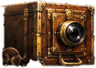 Memory Camera